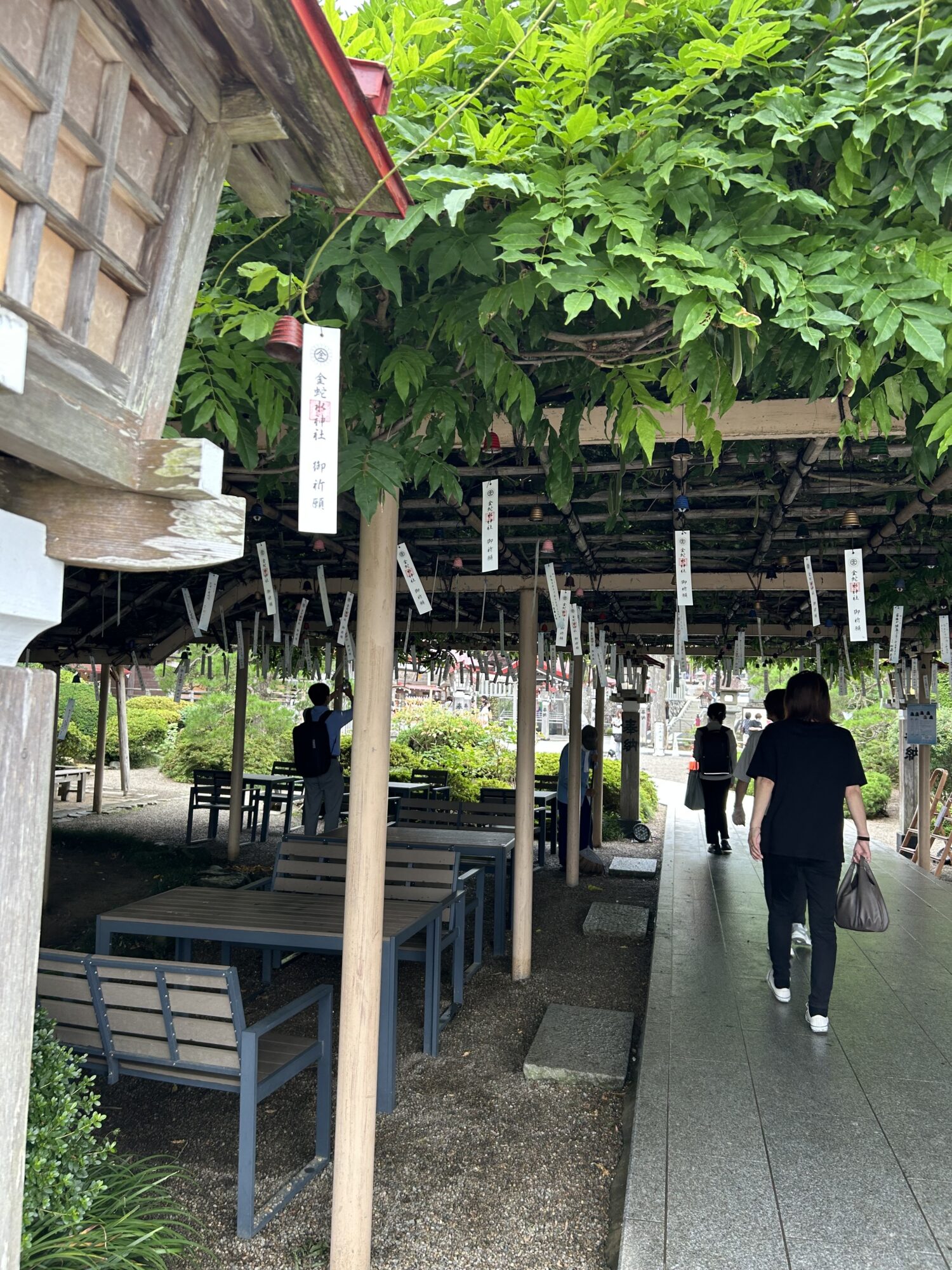 金蛇水神社で心と体を癒す旅