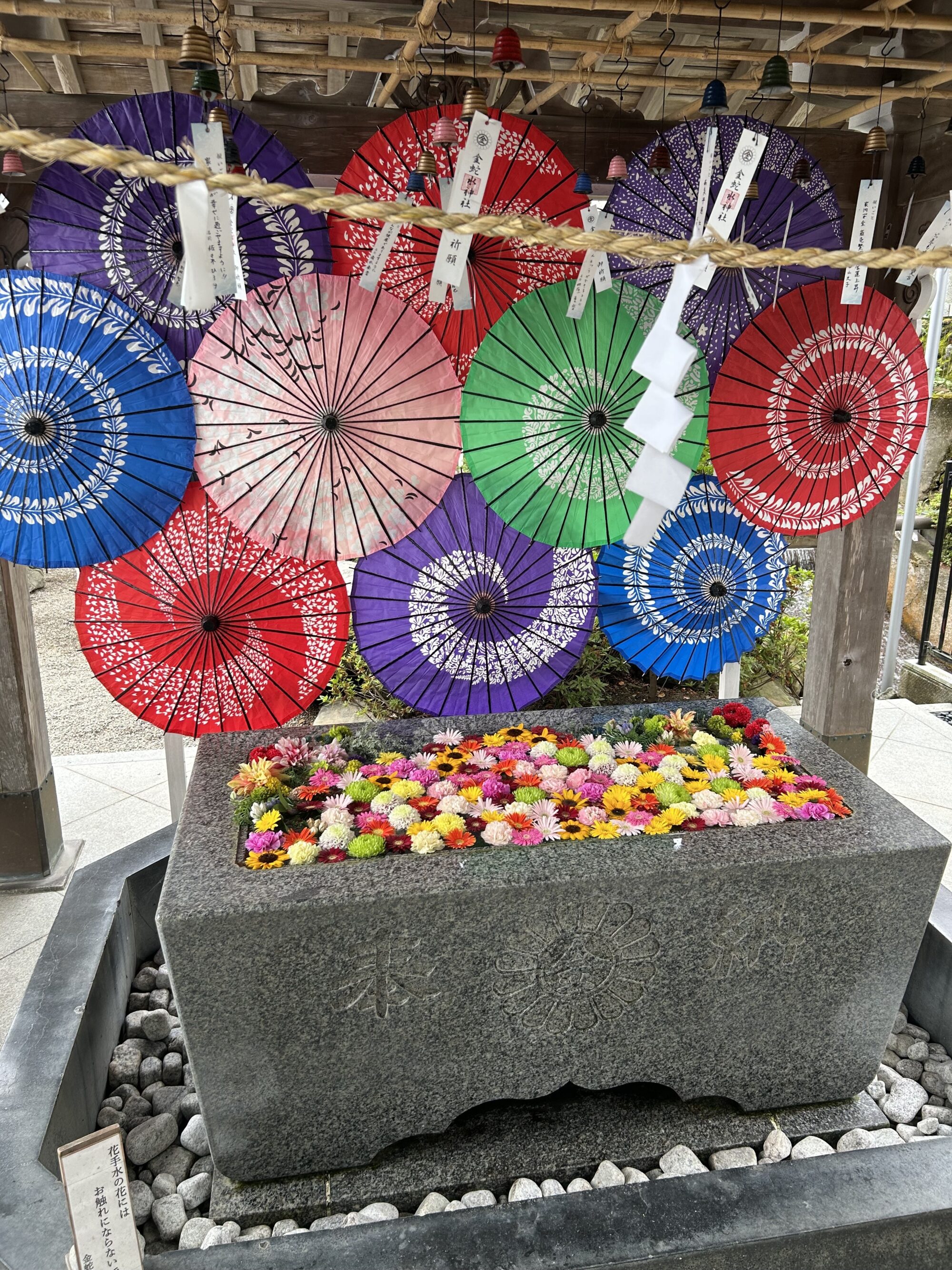 金蛇水神社で心と体を癒す旅