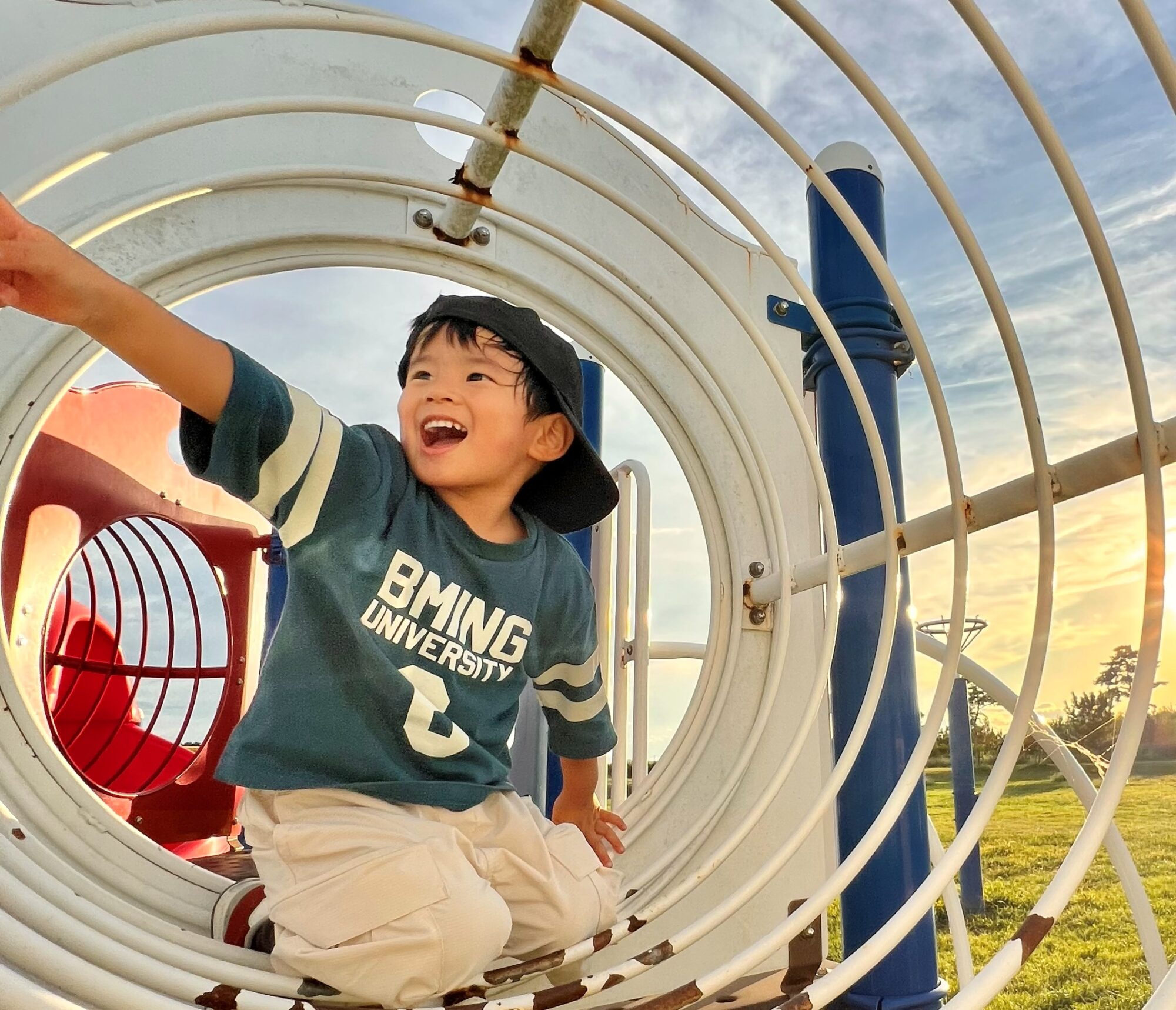 ひつじと触れ合いコース