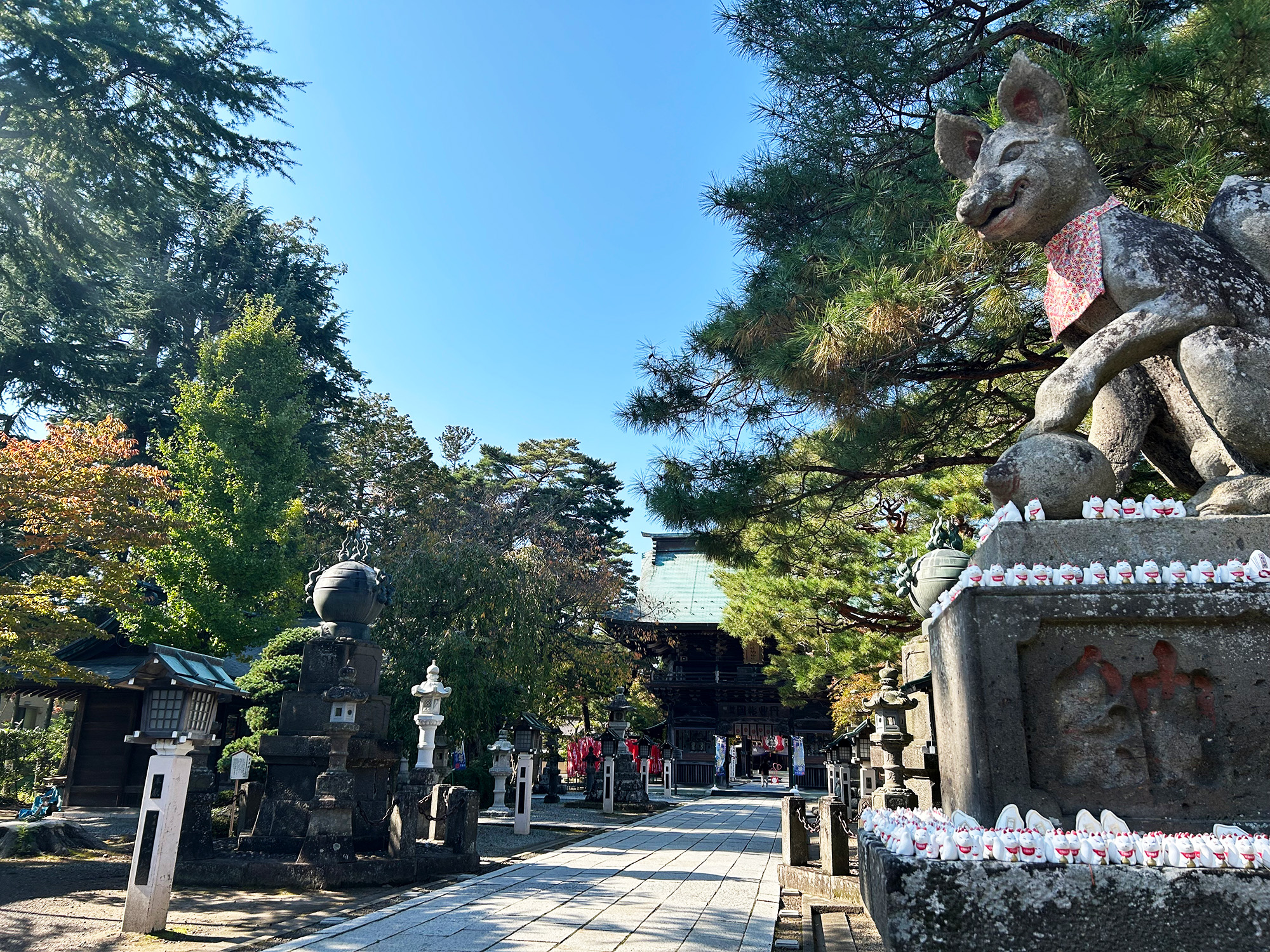 愛され神社「竹駒さん」満喫コース