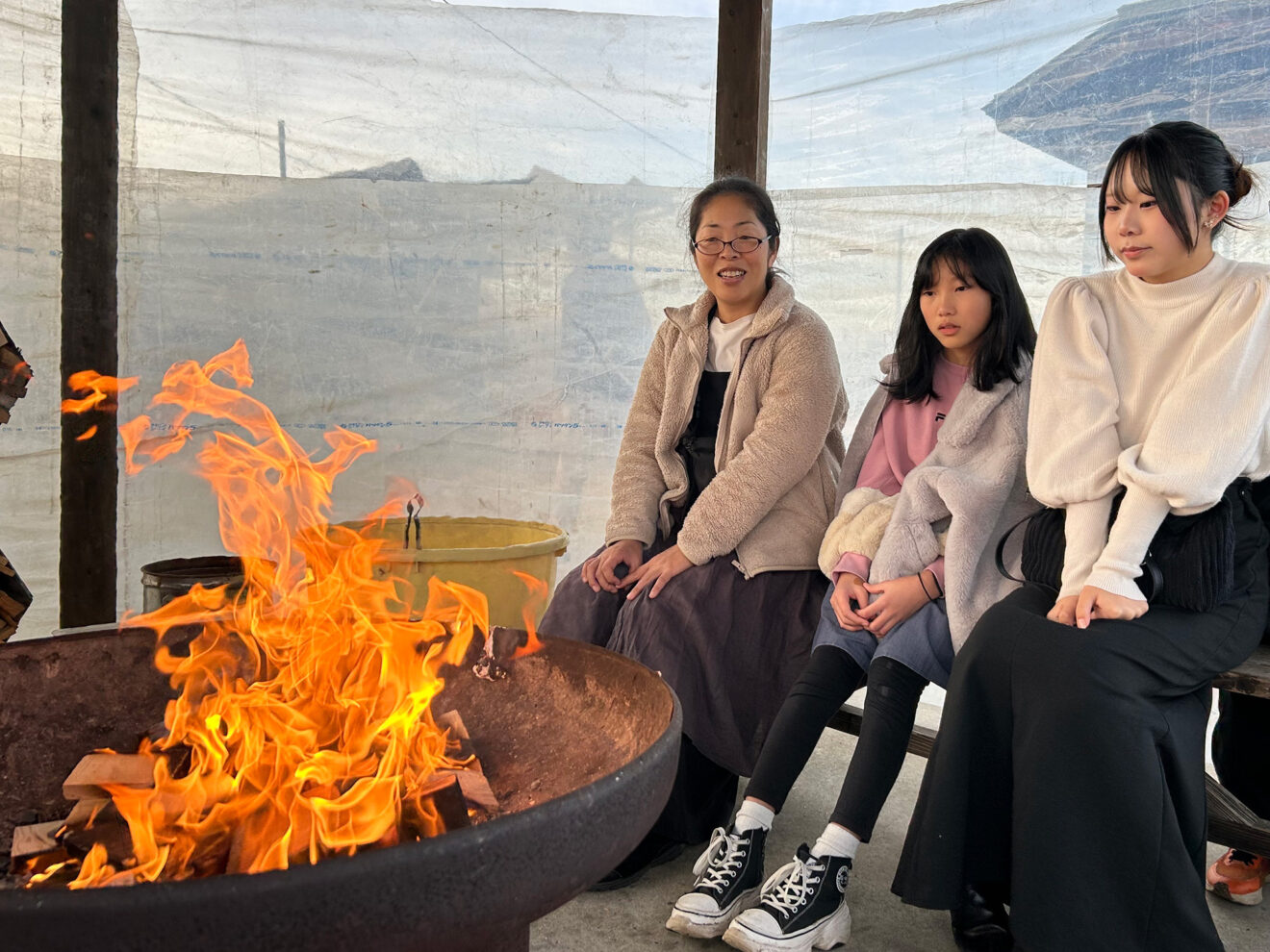 いわぬまひつじ村​