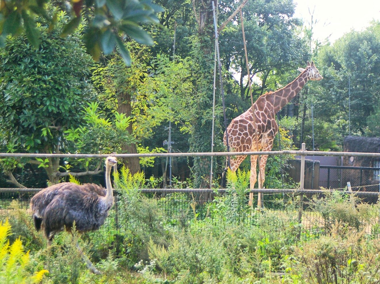 八木山動物公園
